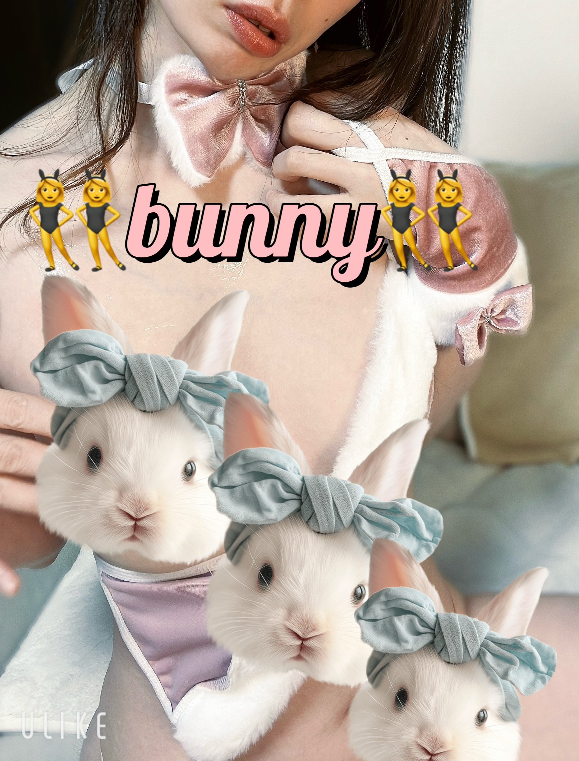 bunny girl|はなさんの日誌写真
