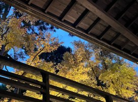 なつみ♪さんの日誌