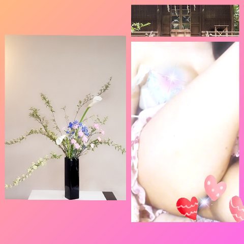 �������ޡ�(˶ᐢ��ᐢ�ä��Τ��������̿�