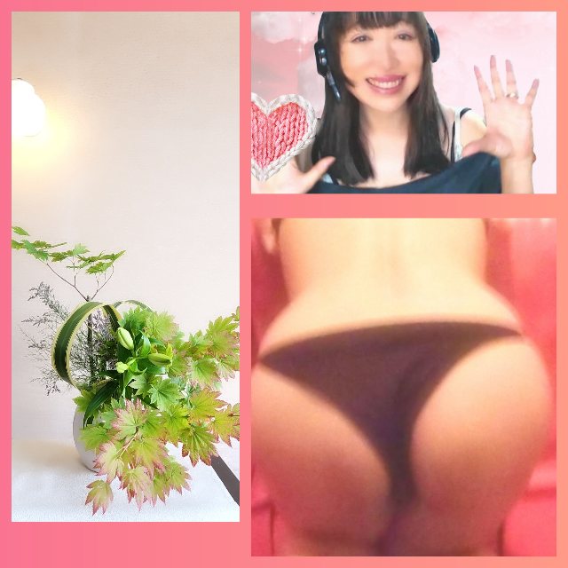 ����ˤ���♡ᩚ�ä��Τ��������̿�