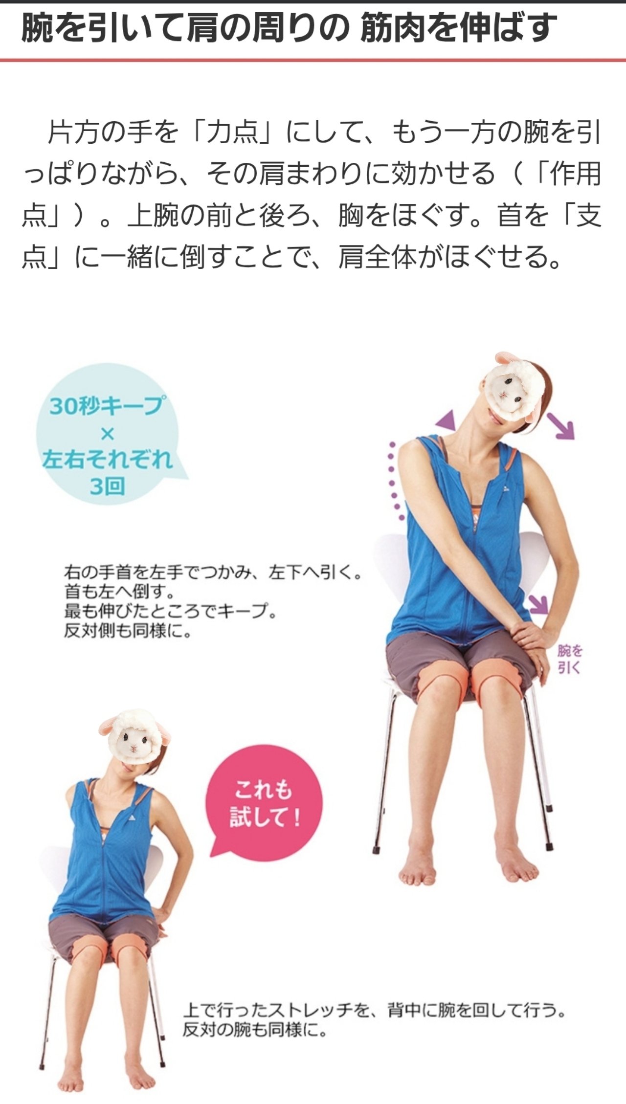 ����ˤ���( ^ ^�ä��Τ��������̿�