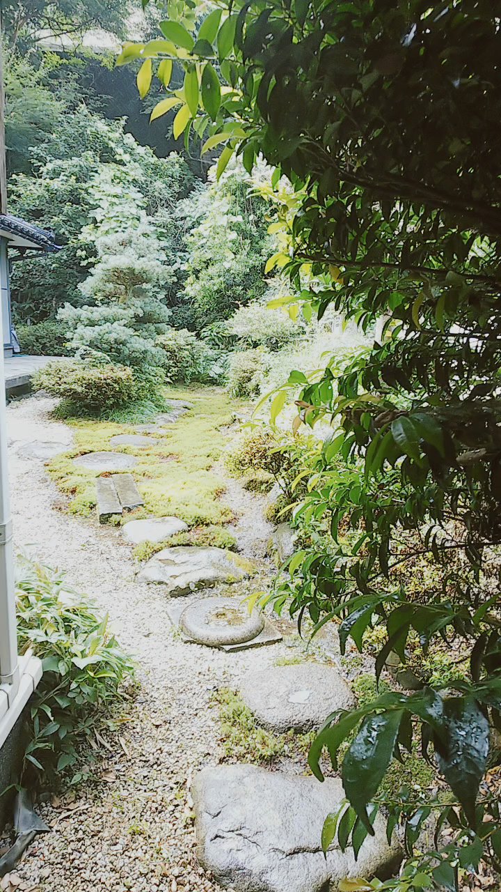311˺��ʤ����Ǥ��ä��Τ��������̿�