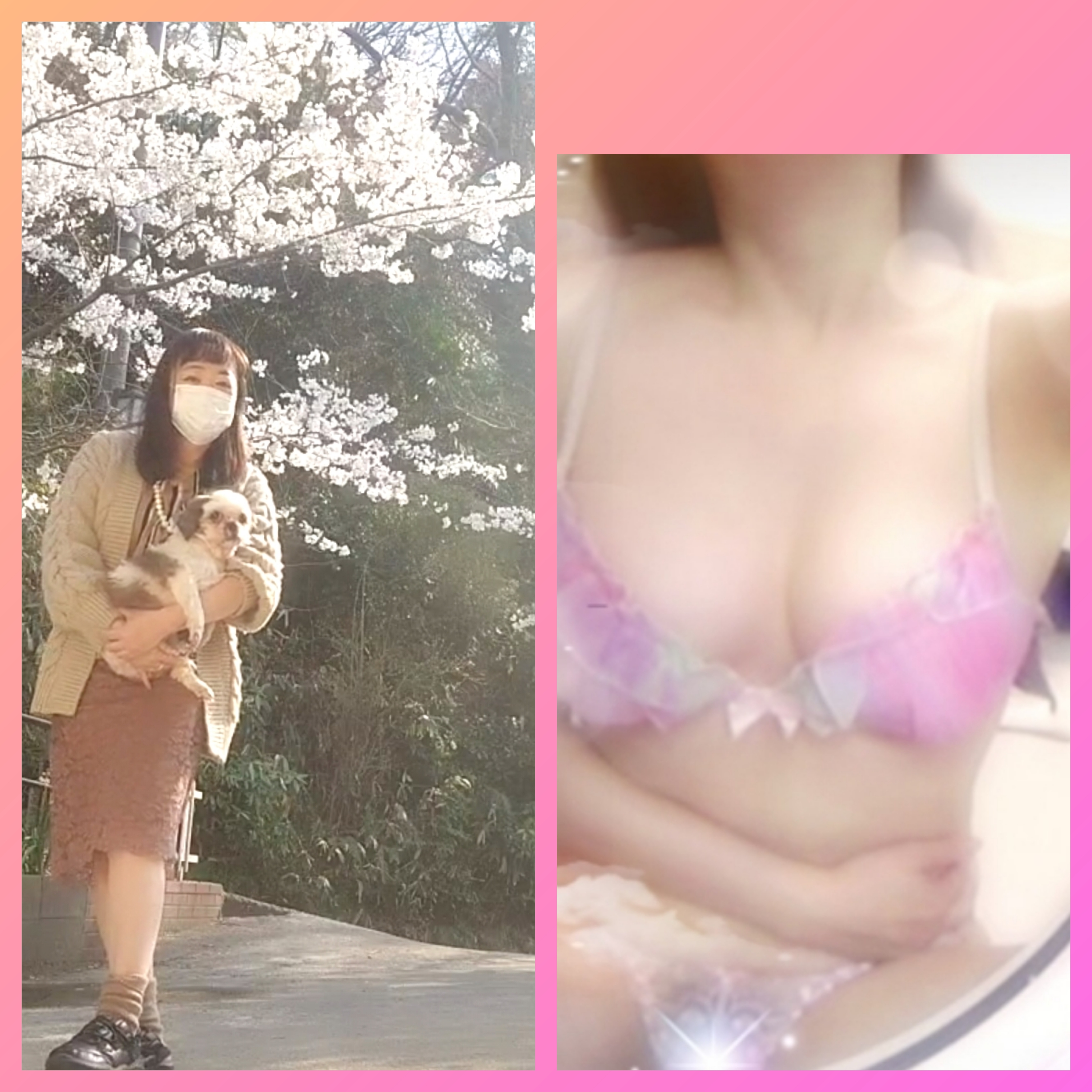 �ԤäƤ��ޤ���🌸