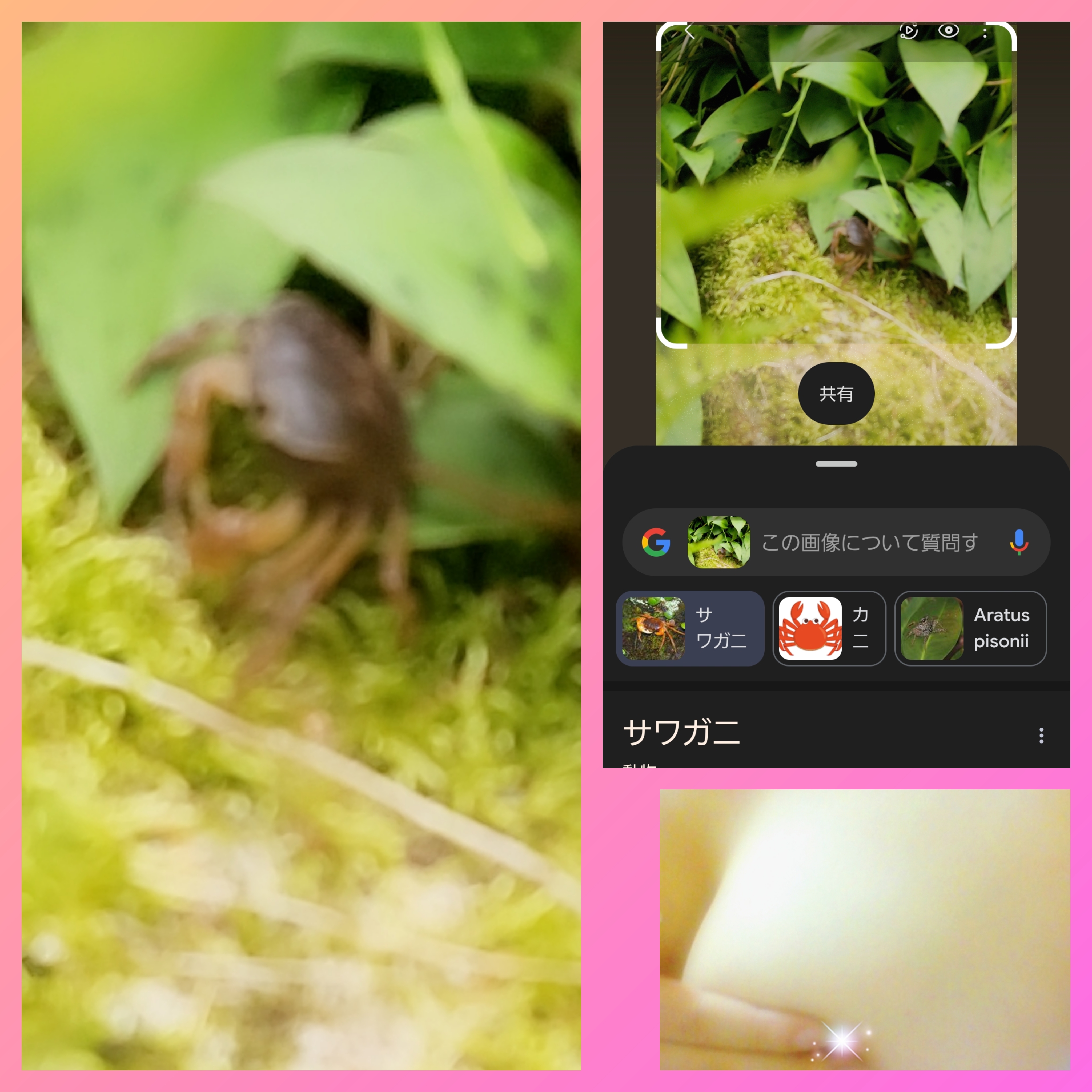 ����ˤ���^_^