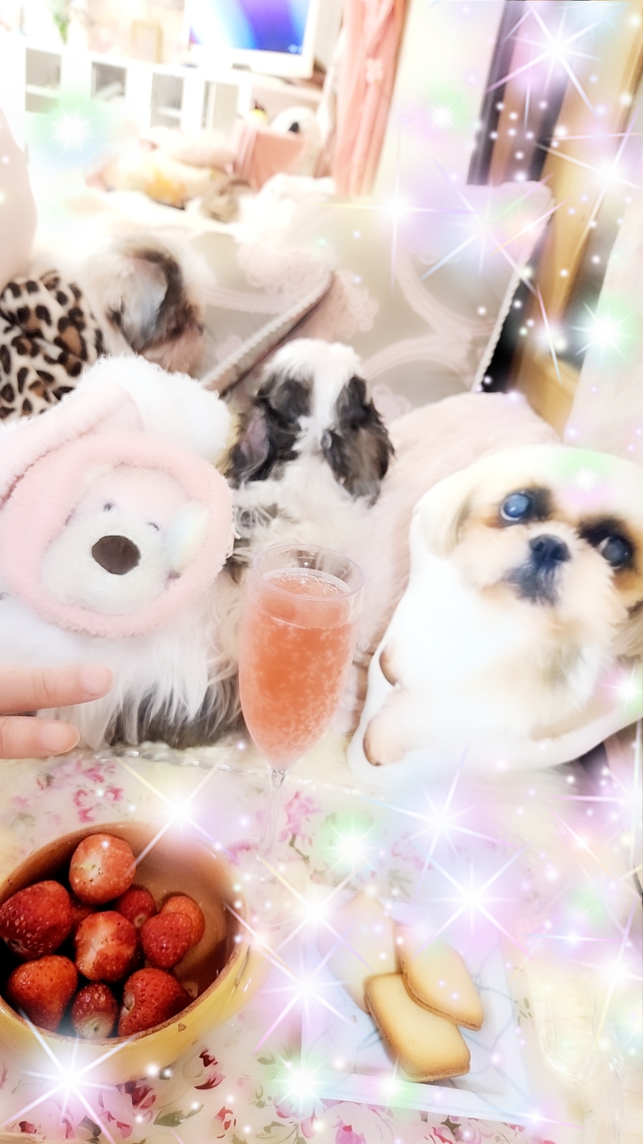 ����ˤ���〜