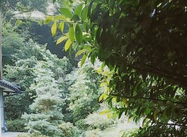 311˺��ʤ����Ǥ�