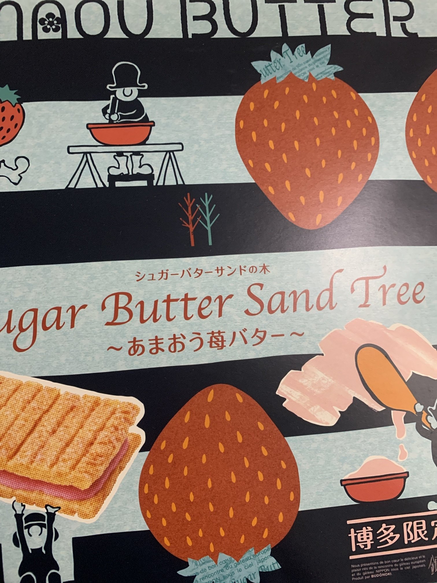 �������餬��Ф����á�Τ��񡦤��������̿�