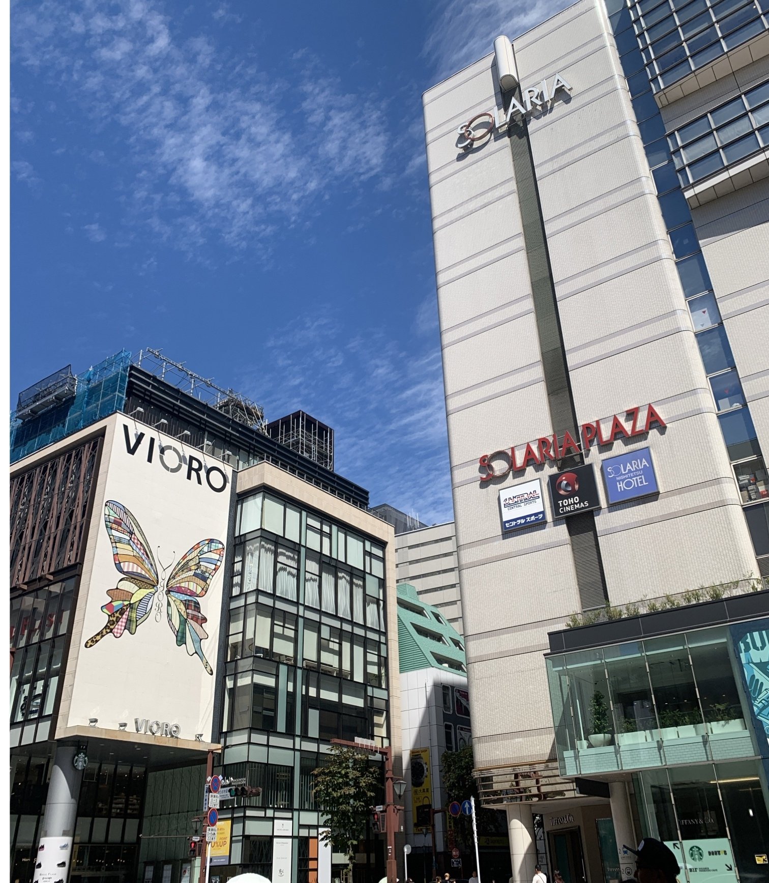 ���Ϥ褦�Ǥ��á�Τ��񡦤��������̿�
