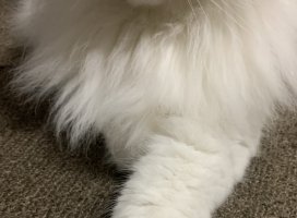 ������