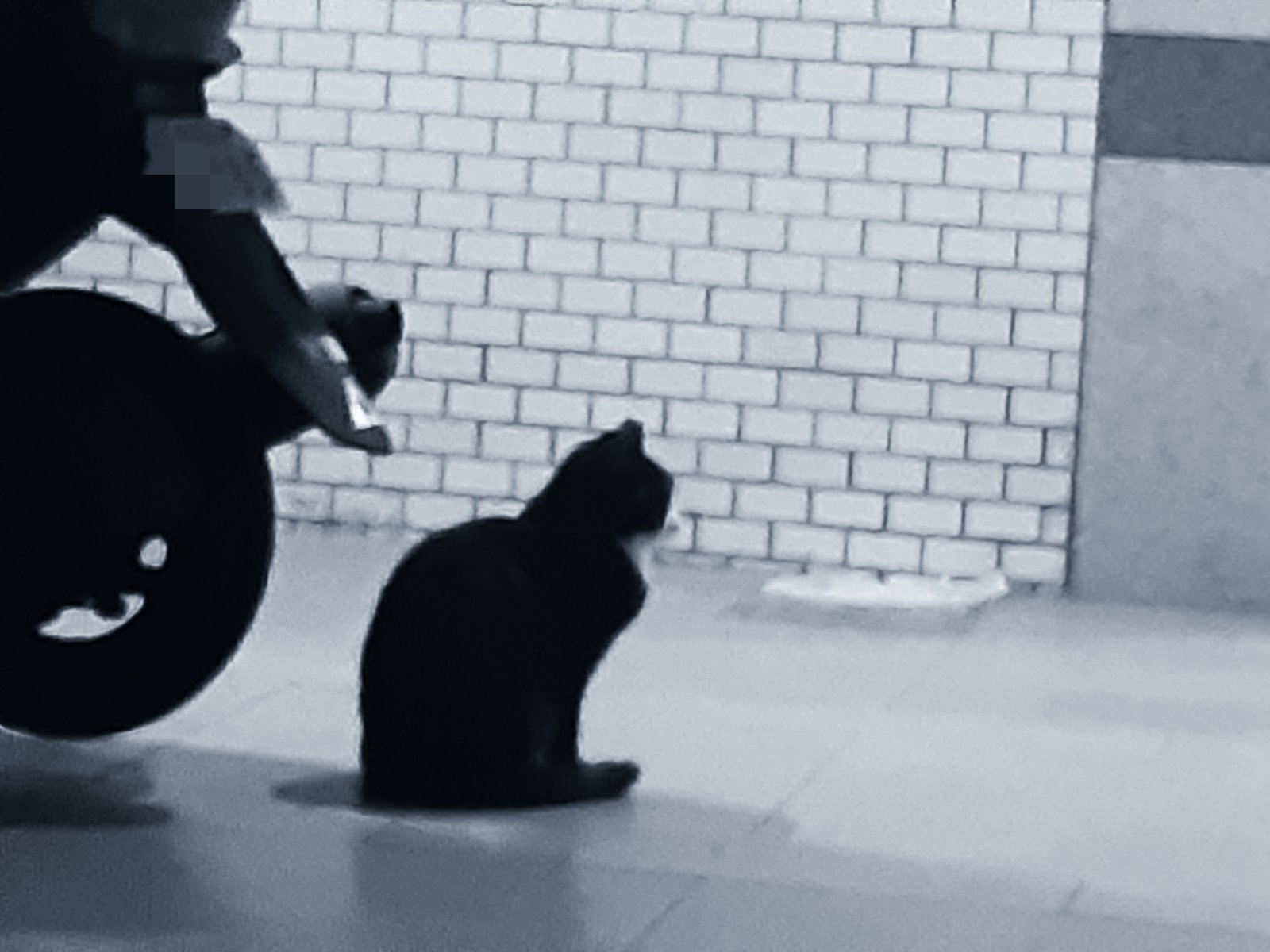 �ϥ���줵�󡣡ø����������̿�