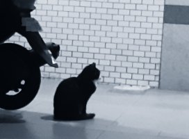 �ϥ���줵��