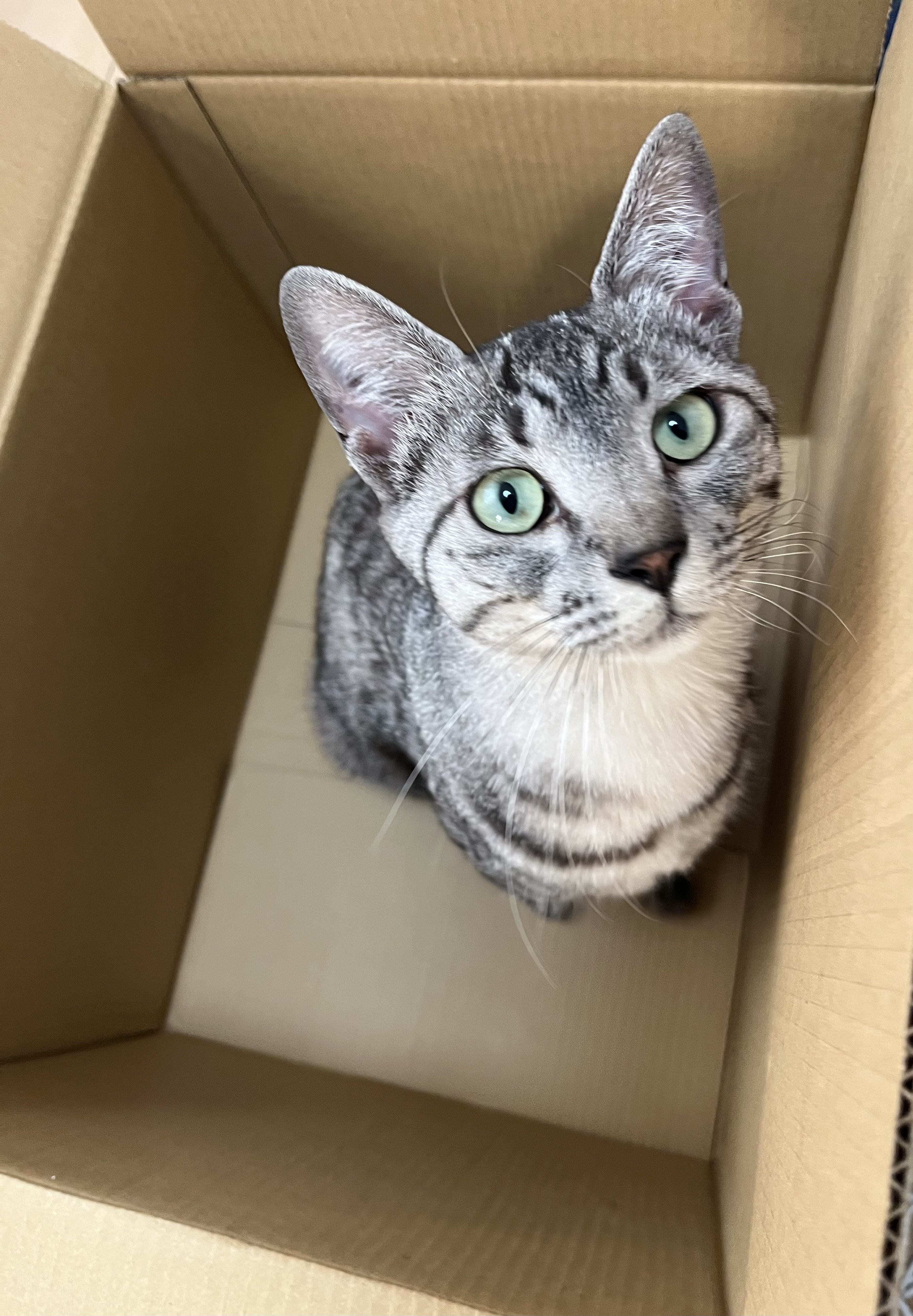 �錄��������դ��������̿�