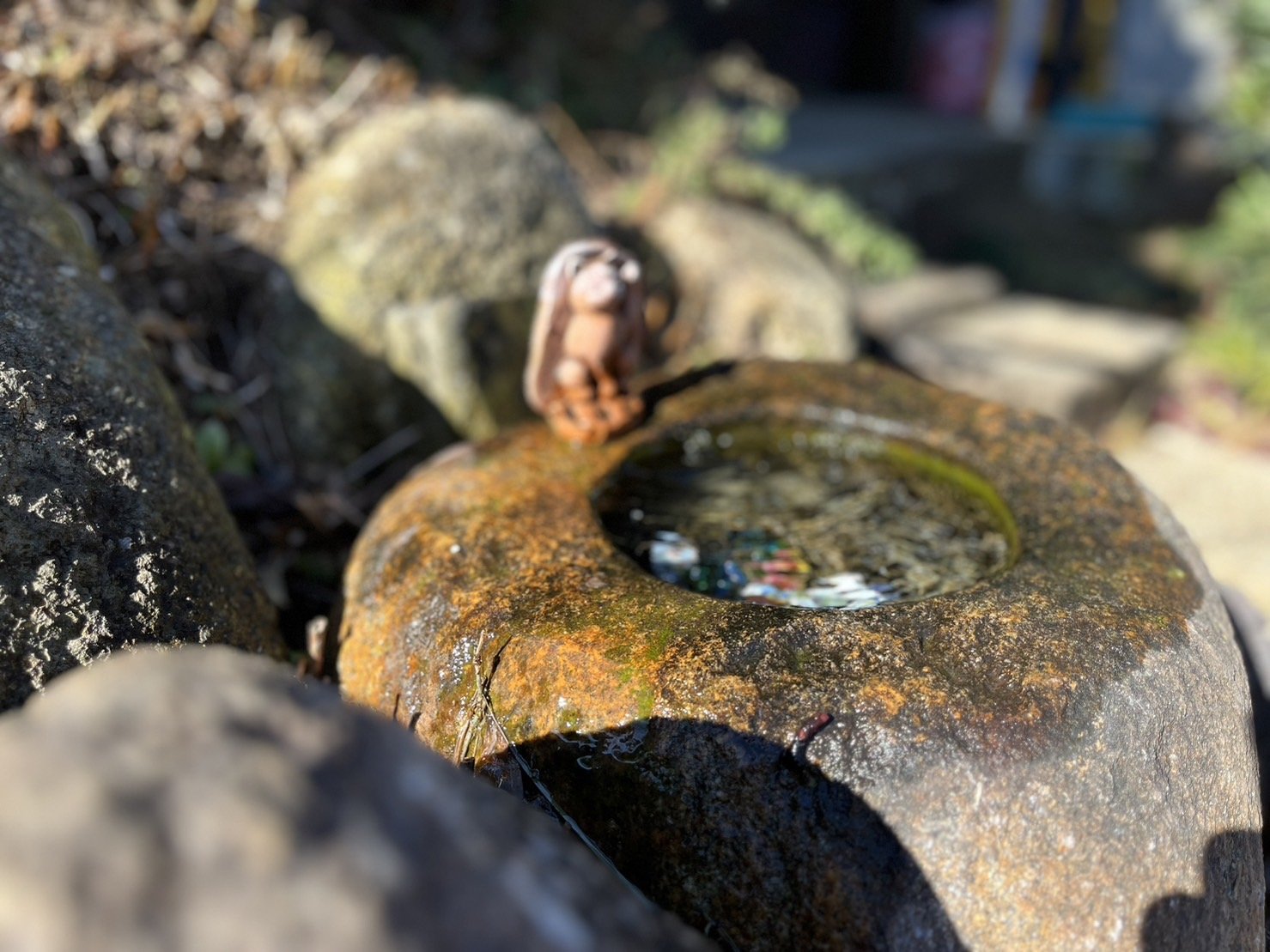 ����͡������դ��������̿�