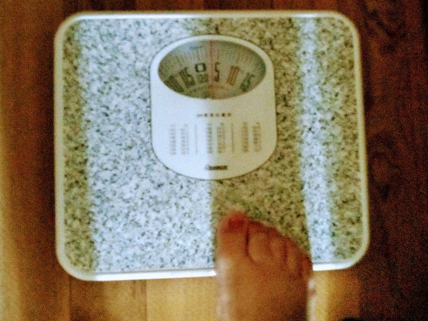 �ɥ��ɥ������á����������������̿�