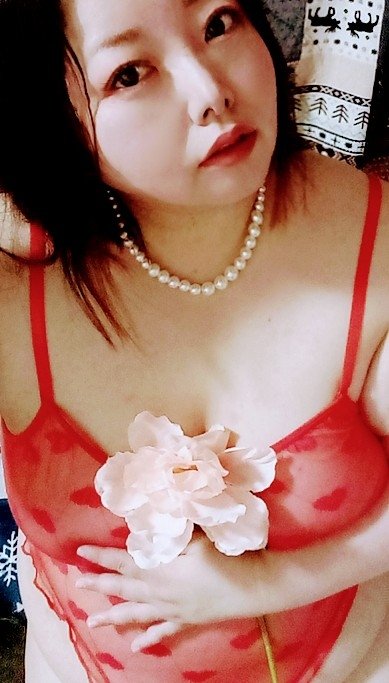 �Ϻ�⭢�á����������������̿�