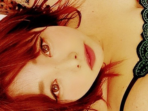 �ץ��ռ̿��������á����������������̿�