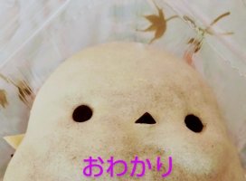 �ۥ顼���ѥ�