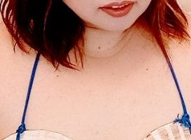 �ƤΤ褽����(����)