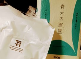 �ѥ����������������