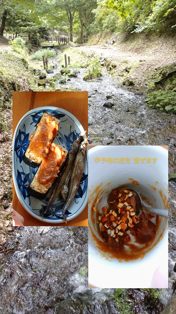 ��ͼ��ī���Ϥ�äϤ뤫(�ڹ�)���������̿�