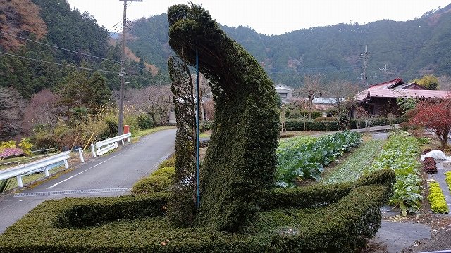 ̣�� �狼��💗�äϤ뤫(�ڹ�)���������̿�