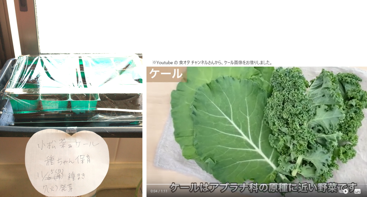 24����� ³����