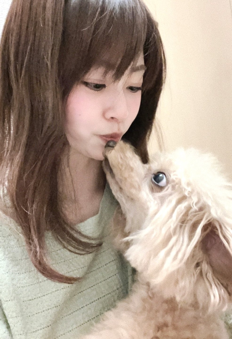 �����Υڥåȡ�SARA���������̿�