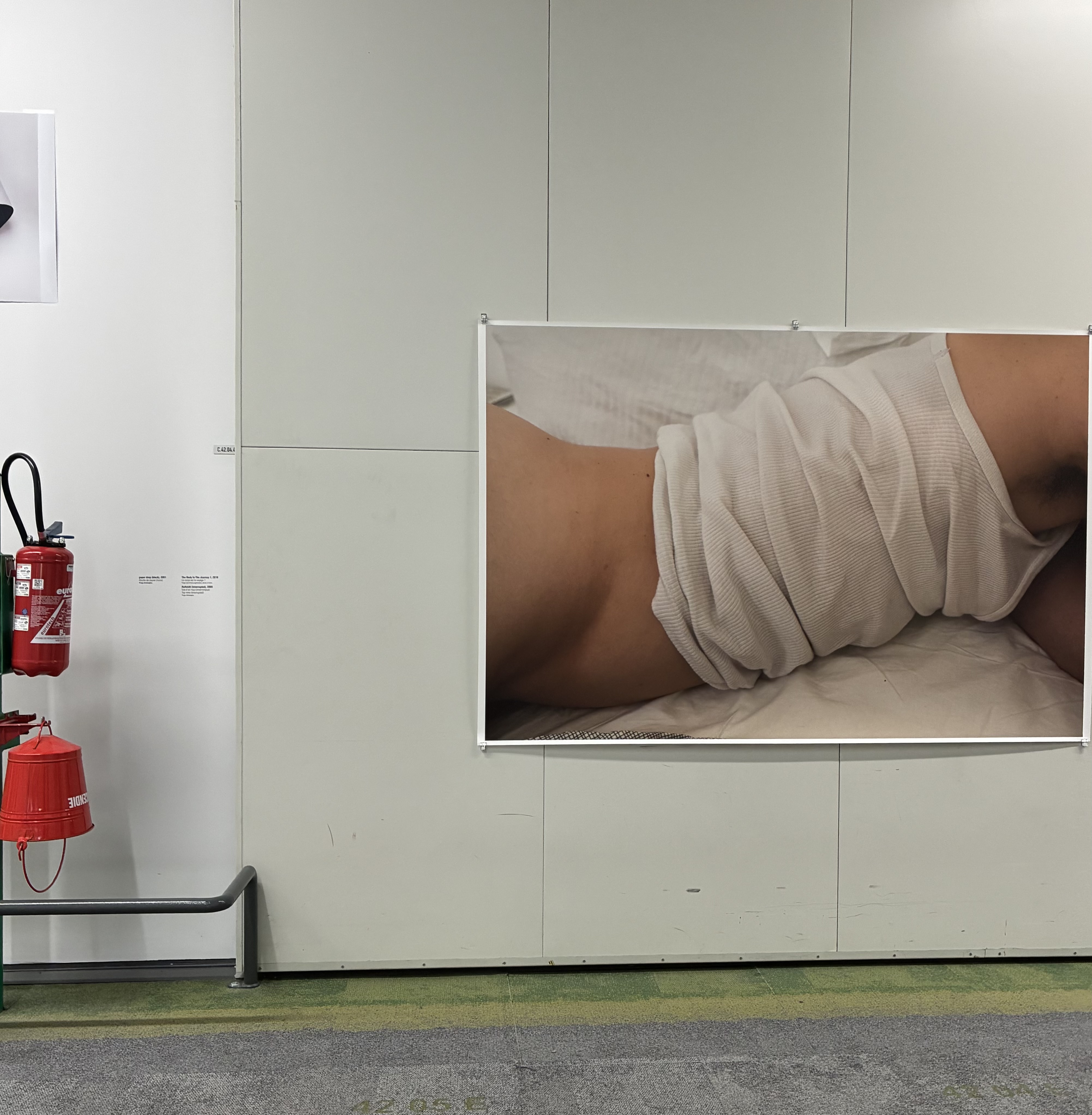 ι�褫�餳��ˤ���〜�����蘆�������̿�