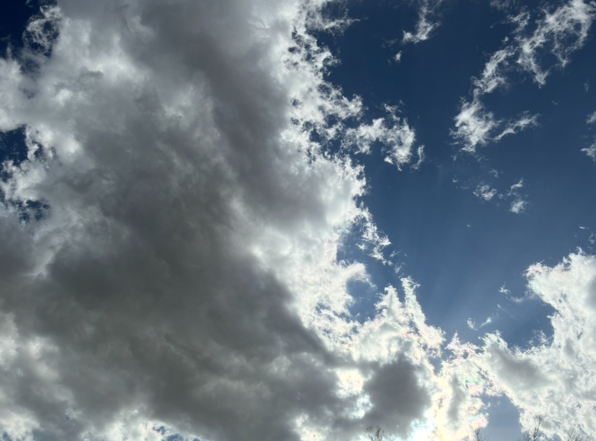 �������ι��������蘆�������̿�