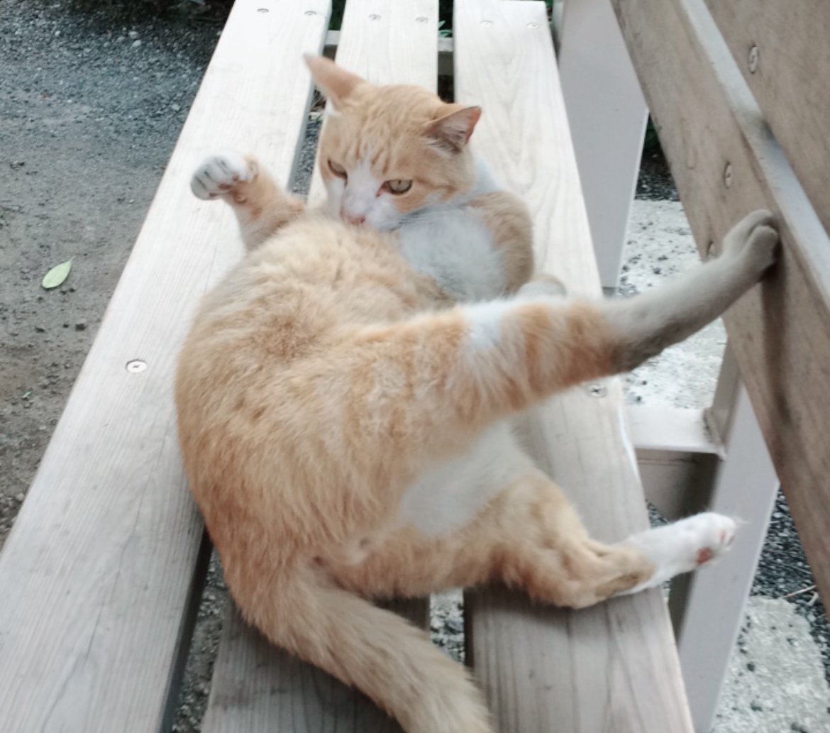 ��Ω��ʬ�ΤϤ��ޤ�ˡ����蘆�������̿�