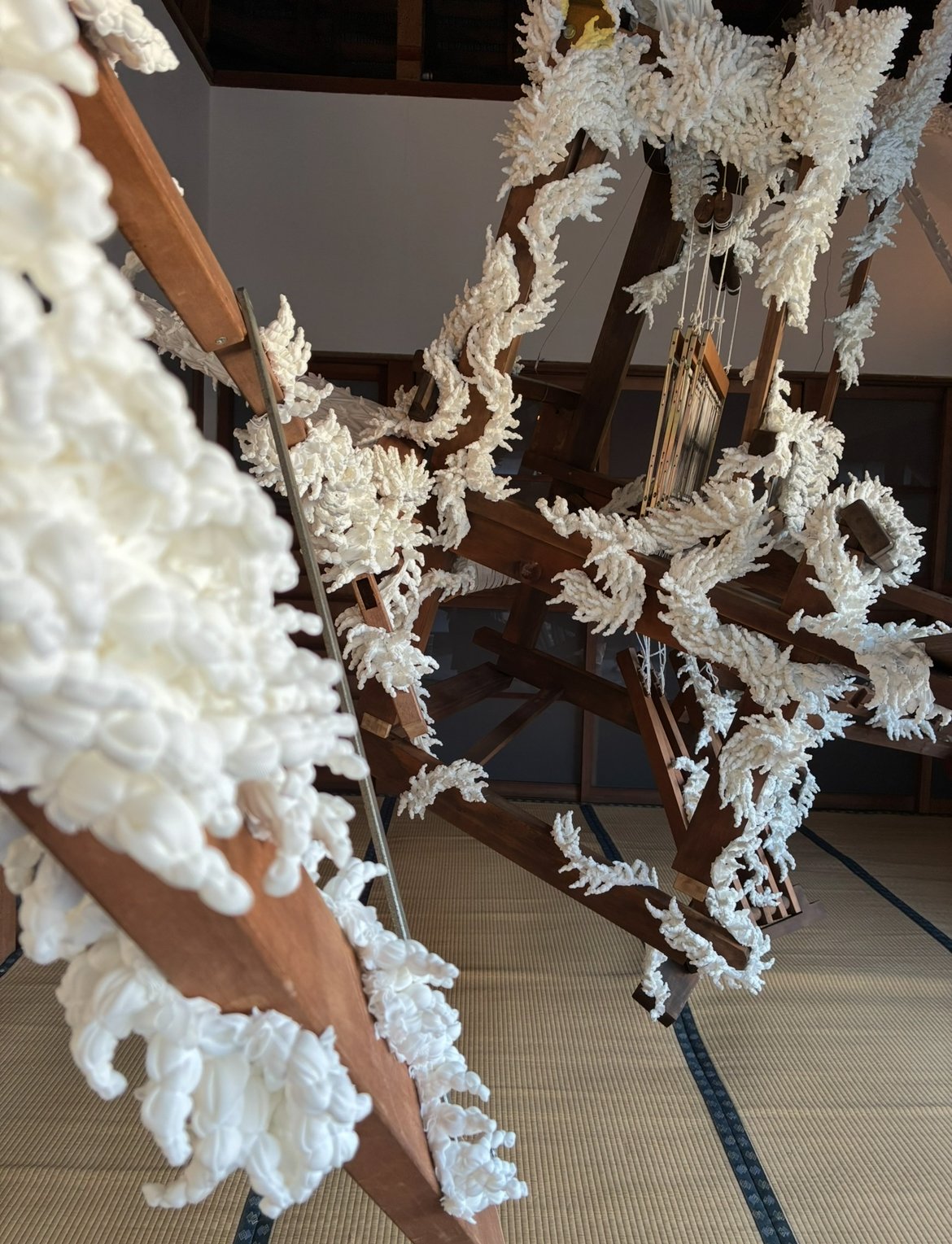 ���ˤʤ뤢�줳�������蘆�������̿�