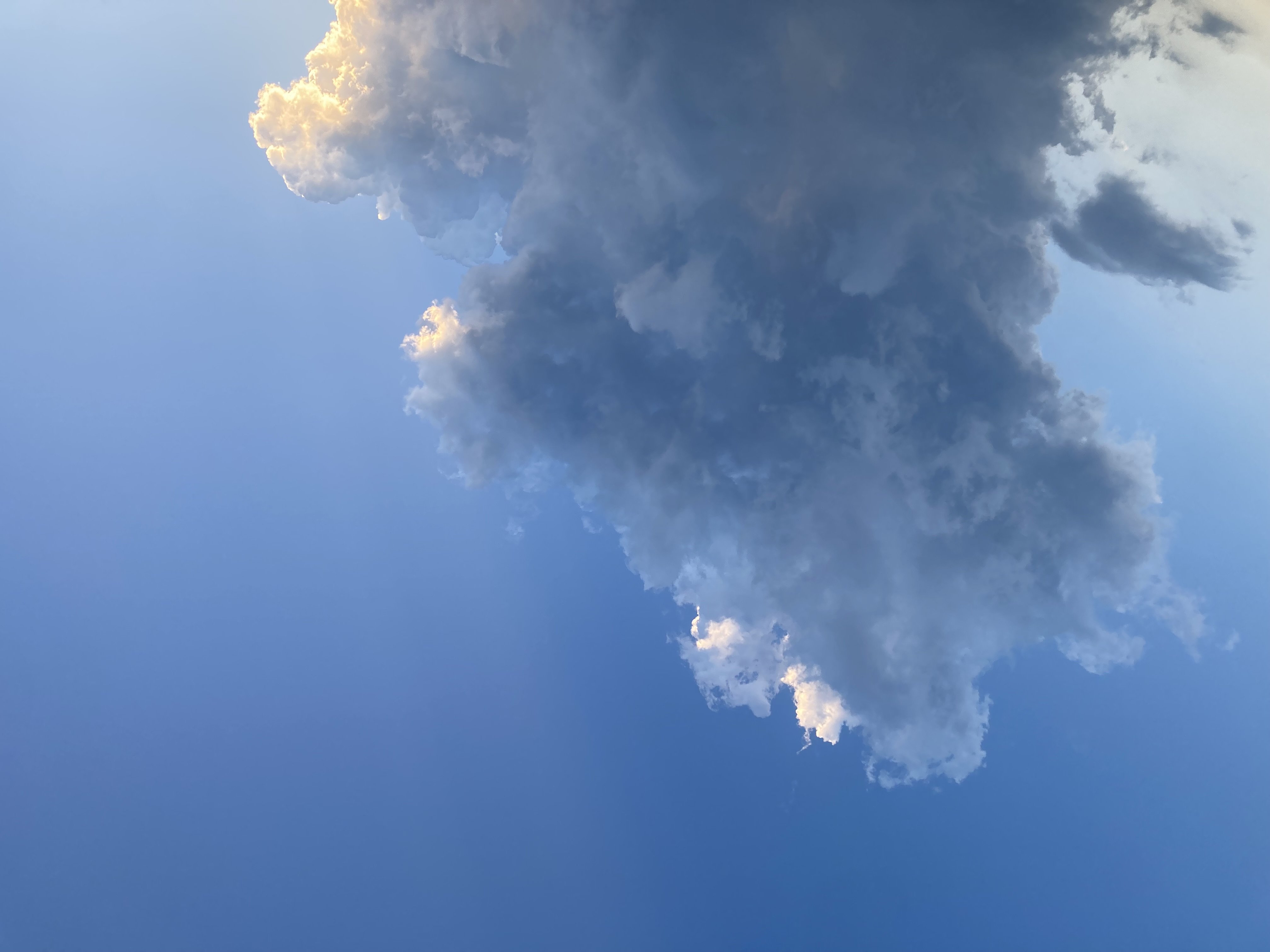 ���Ȥ����櫓�ǤϤʤ������蘆�������̿�