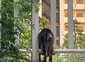 ���ޤˡ��ޤˤޤ�