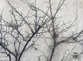 �ۡ�������S����