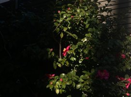 �ۡ�������S���͡�³