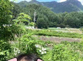 餵