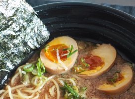 ������✨