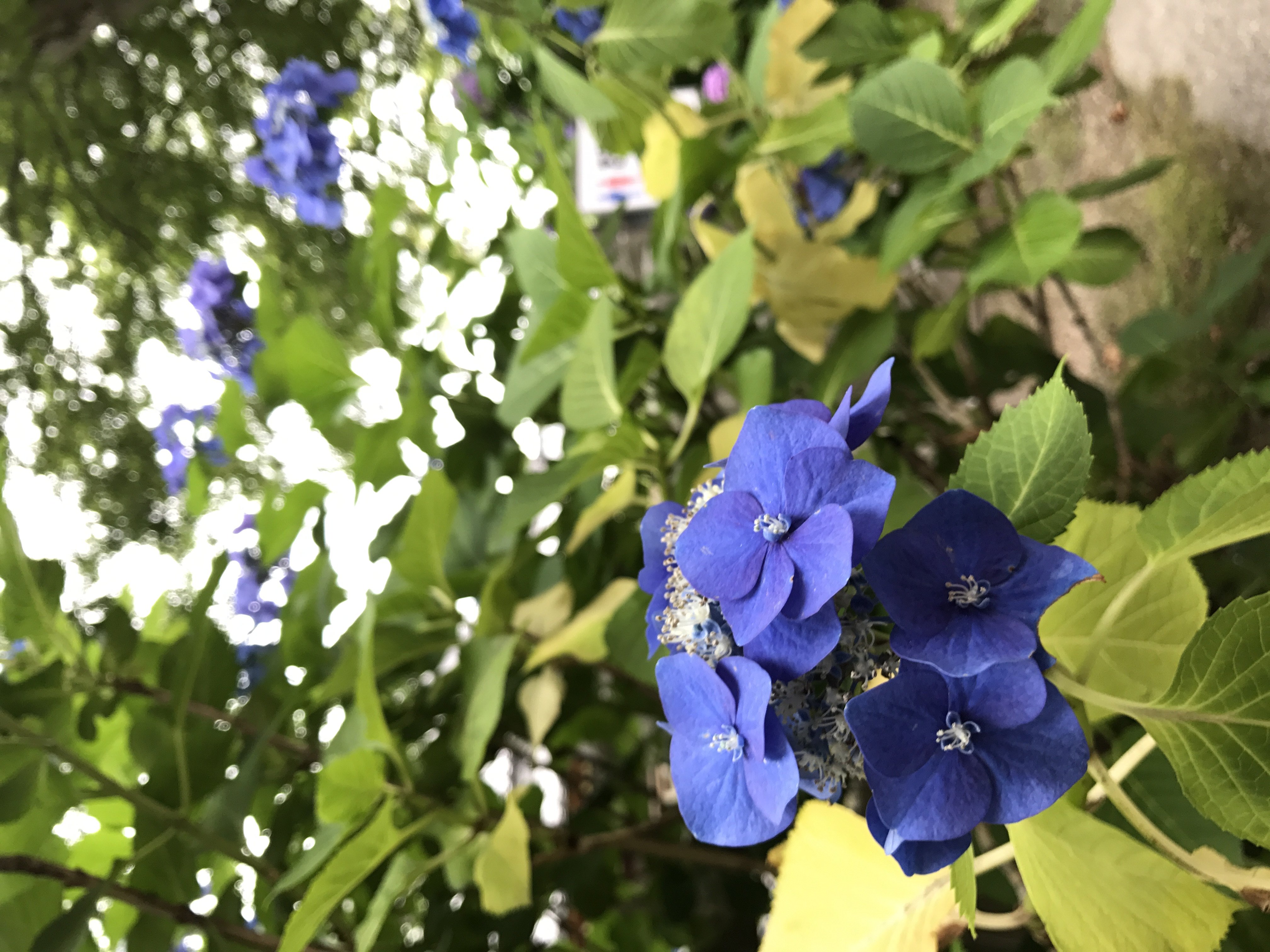 �������ġä��������������̿�