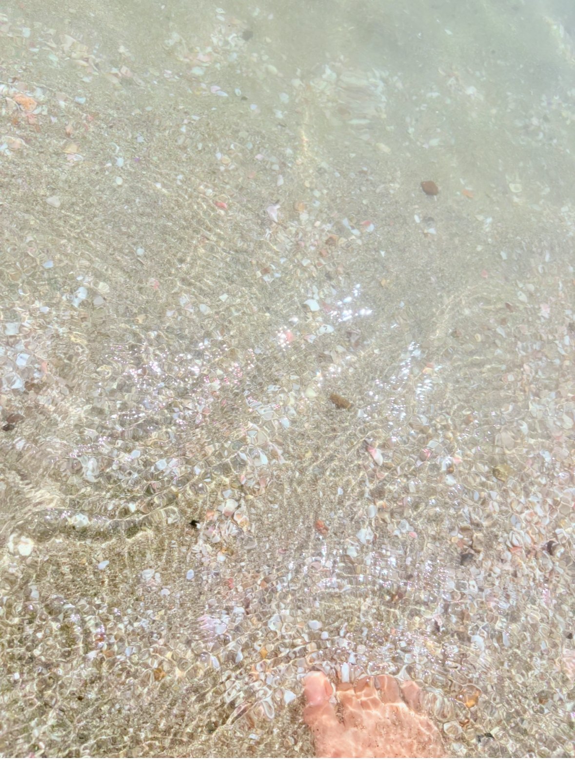 �ơ����ʡġ��ä��������������̿�