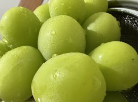 �뤹�����Ϥ��뤥��