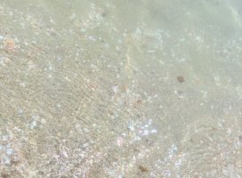 �ơ����ʡġ�