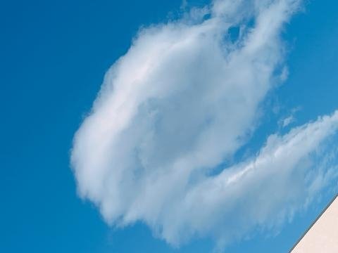 ������Ͽ̤Τ��ȡ����С��������������̿�