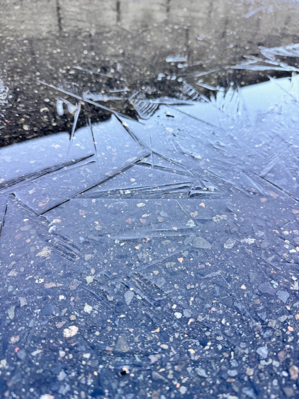 ���륪����ʥ��ȡ����ä�����✫�Ĥ��������̿�