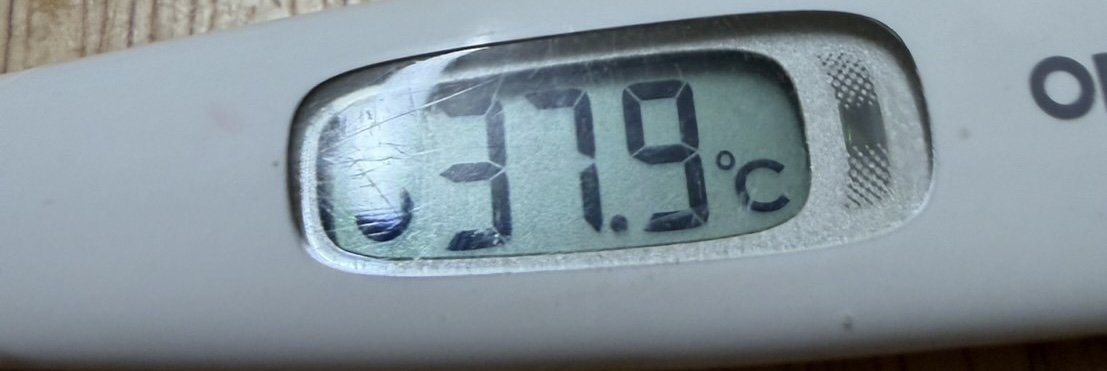 �Ĥ��˲椬�Ȥ⡦�����ä�����✫�Ĥ��������̿�