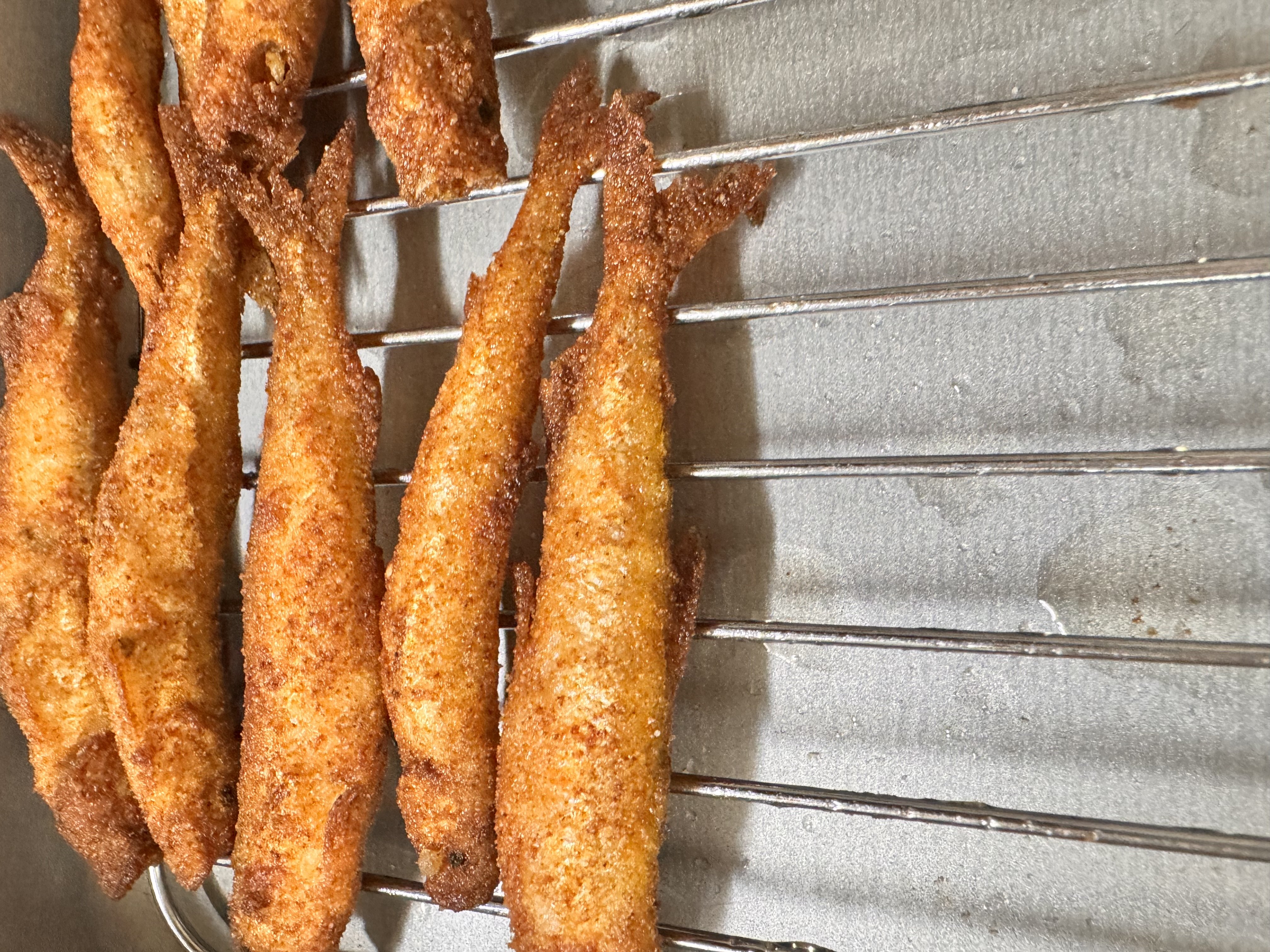 �參�����ιԤ����ä�����✫�Ĥ��������̿�