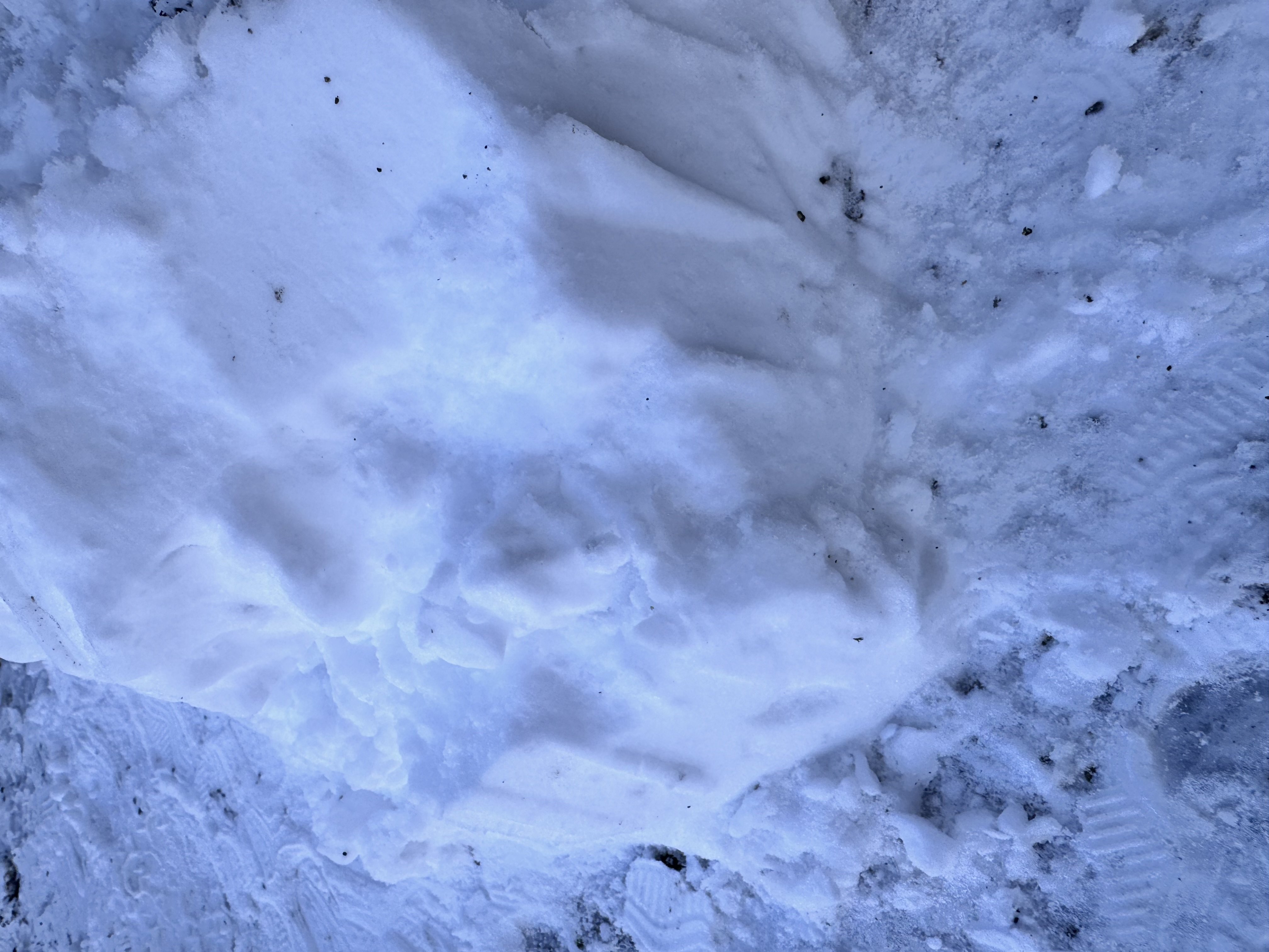 �����ۤ��������ޤ����ä�����✫�Ĥ��������̿�