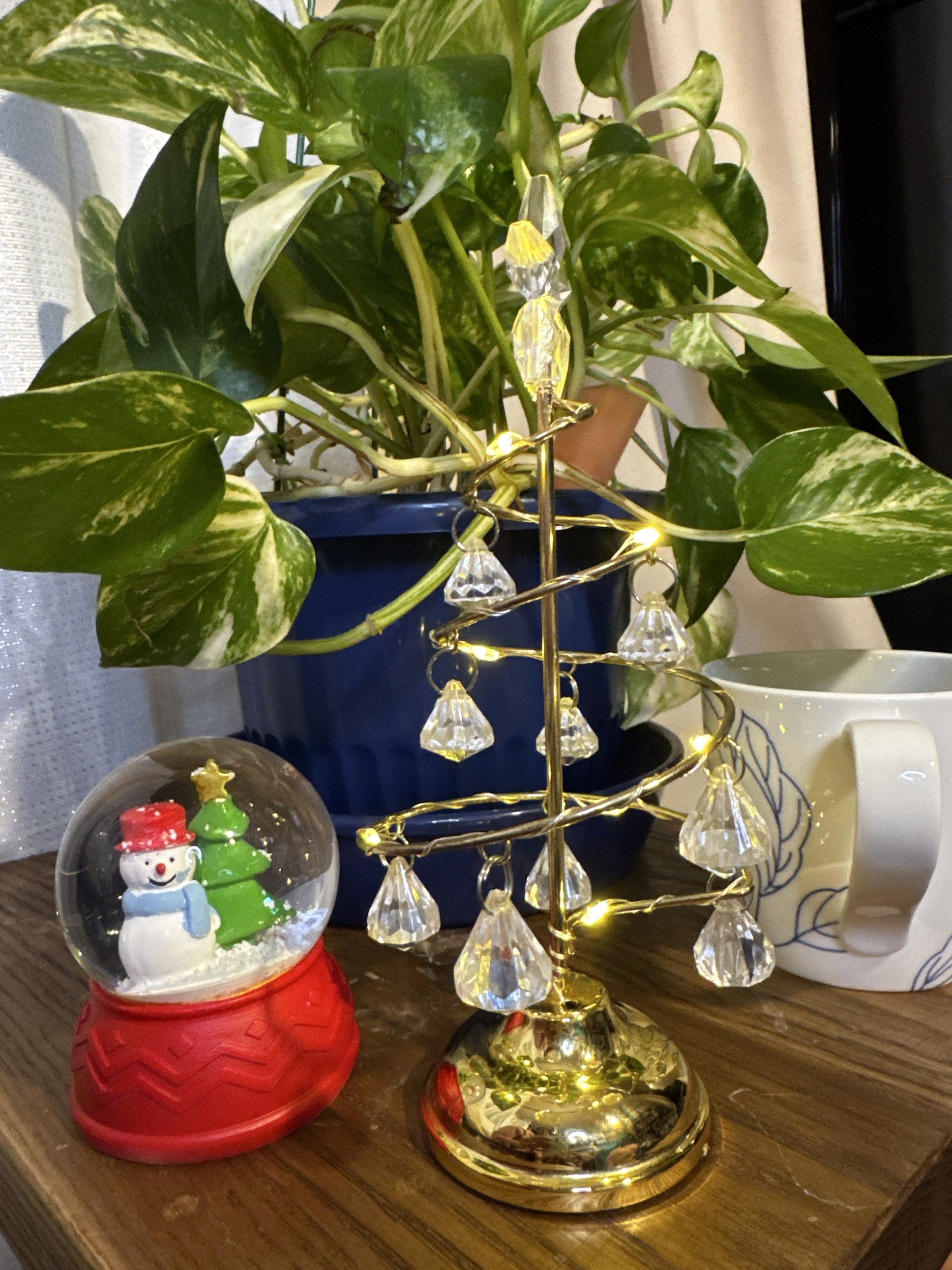 ���ꥹ�ޥ��С������ä�����✫�Ĥ��������̿�