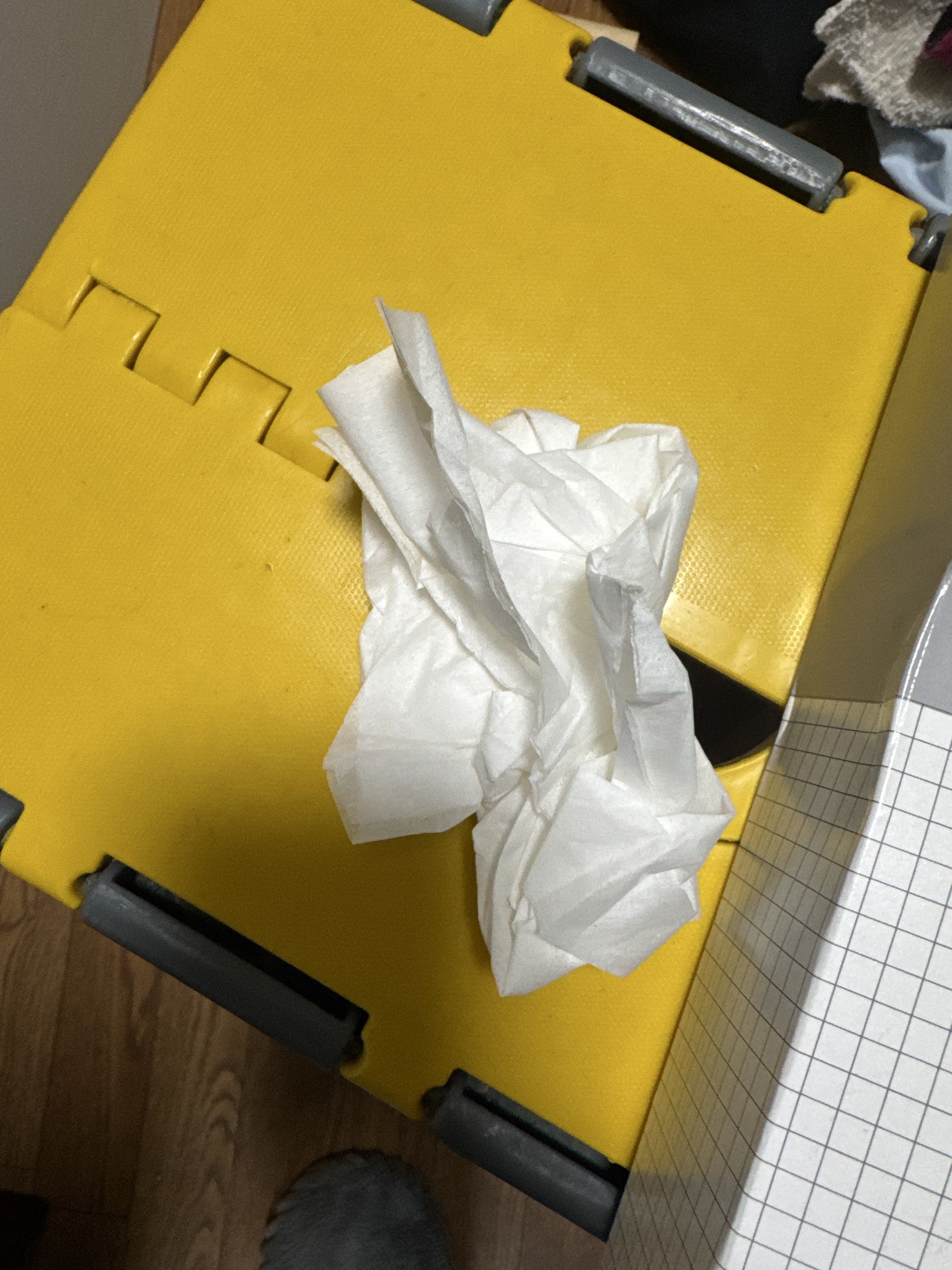 ���������η��ʤΤǤ��ä�����✫�Ĥ��������̿�