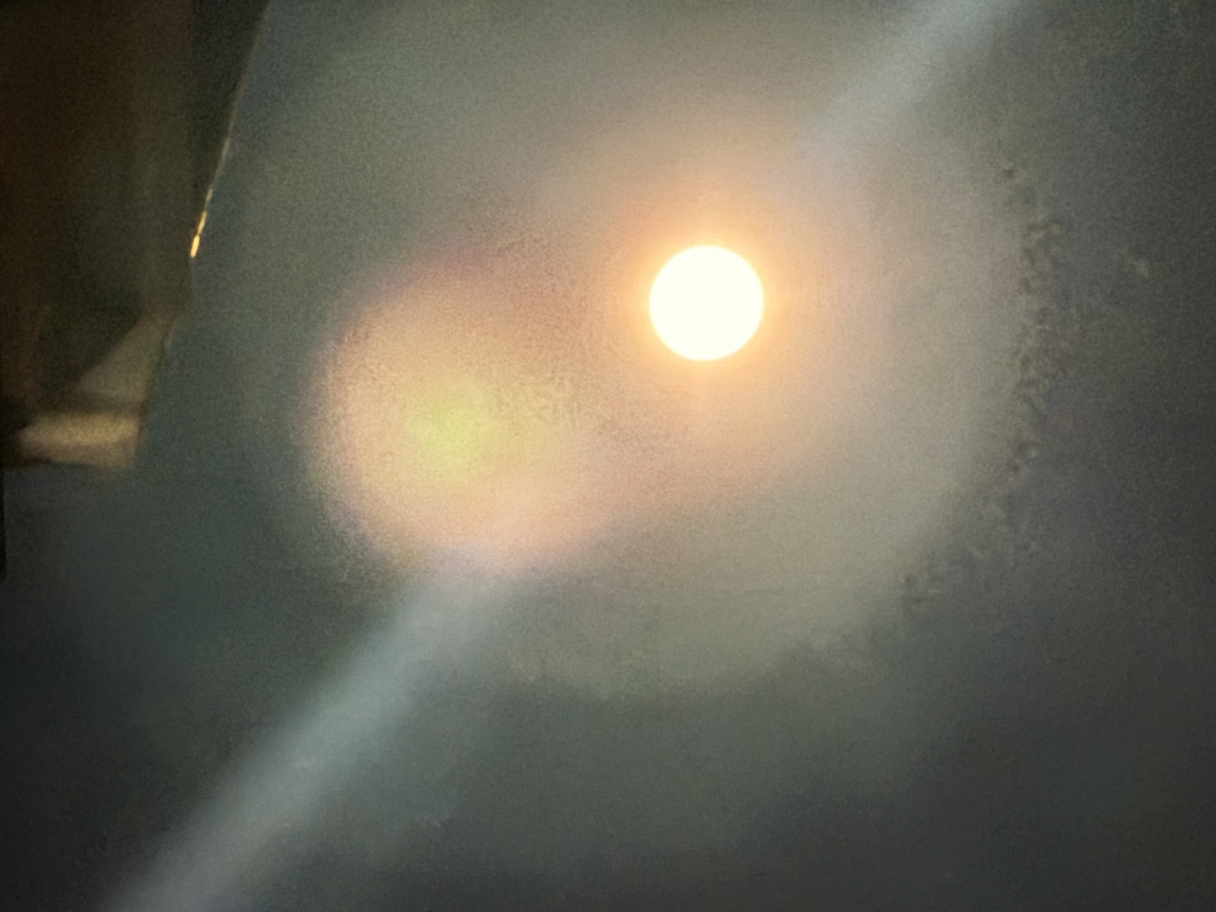 �������򤷤��ä��ä�����✫�Ĥ��������̿�