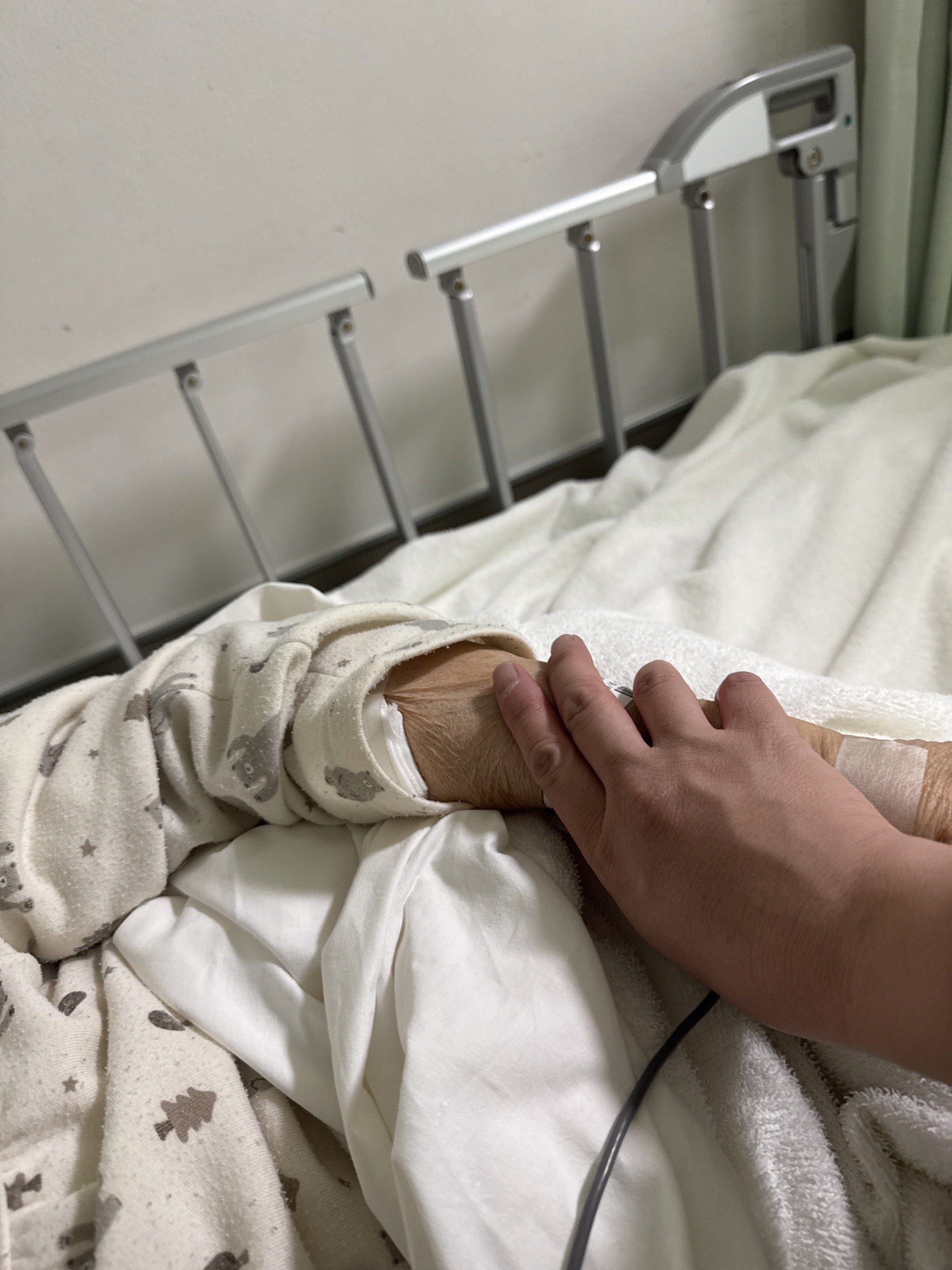 ����Ϥ��٤ߤ��ޤ��ä�����✫�Ĥ��������̿�